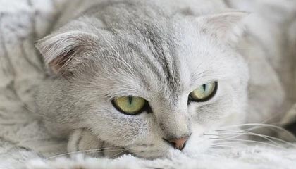 姜宇星：希望能尽快融入辽篮，新赛季会尽自己的所能帮助球队